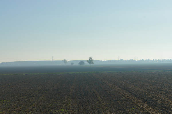 Cicloturismo bocche del Po di Goro e Po di Gnocca