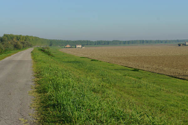 Cicloturismo bocche del Po di Goro e Po di Gnocca