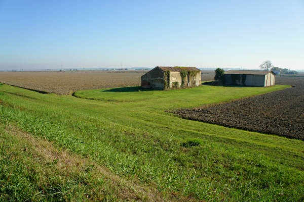 Cicloturismo bocche del Po di Goro e Po di Gnocca