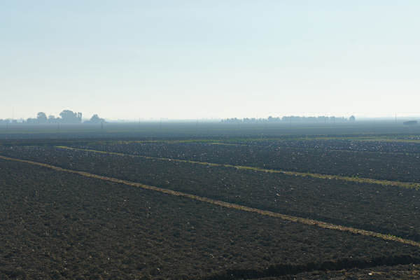 Cicloturismo bocche del Po di Goro e Po di Gnocca