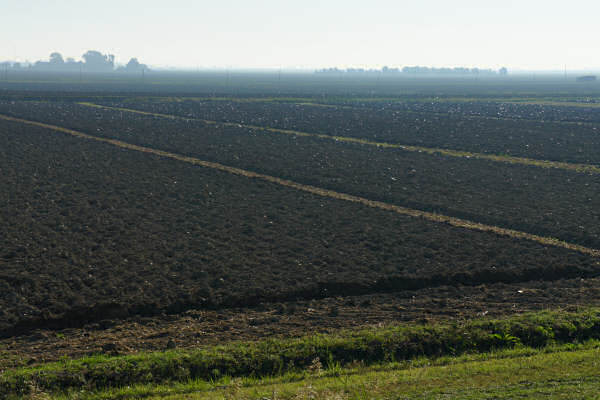 Cicloturismo bocche del Po di Goro e Po di Gnocca