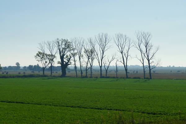 Cicloturismo bocche del Po di Goro e Po di Gnocca