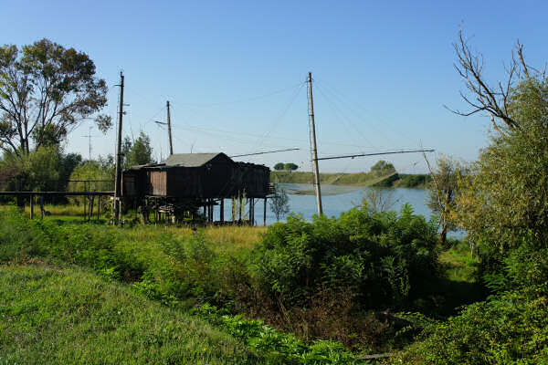 Cicloturismo bocche del Po di Goro e Po di Gnocca
