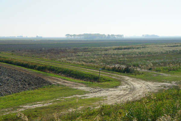 Cicloturismo bocche del Po di Goro e Po di Gnocca