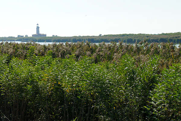 Cicloturismo bocche del Po di Goro e Po di Gnocca