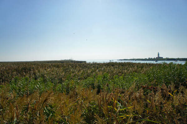 Cicloturismo bocche del Po di Goro e Po di Gnocca