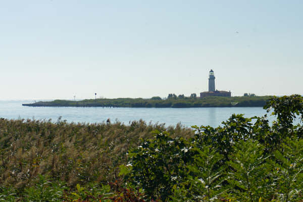 Cicloturismo bocche del Po di Goro e Po di Gnocca