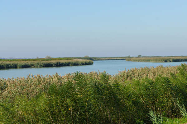 Cicloturismo bocche del Po di Goro e Po di Gnocca