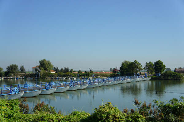 Cicloturismo bocche del Po di Goro e Po di Gnocca