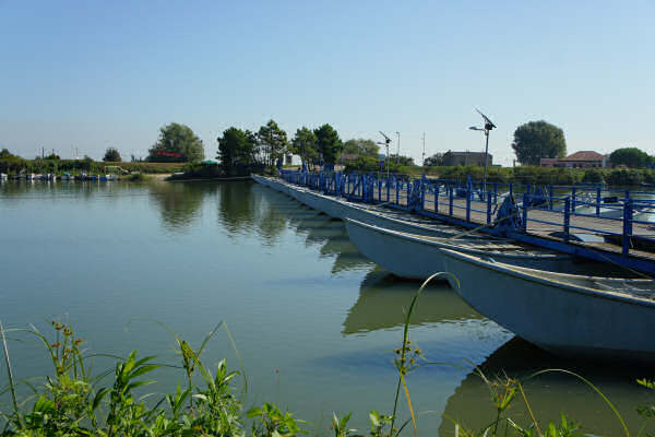 Cicloturismo bocche del Po di Goro e Po di Gnocca