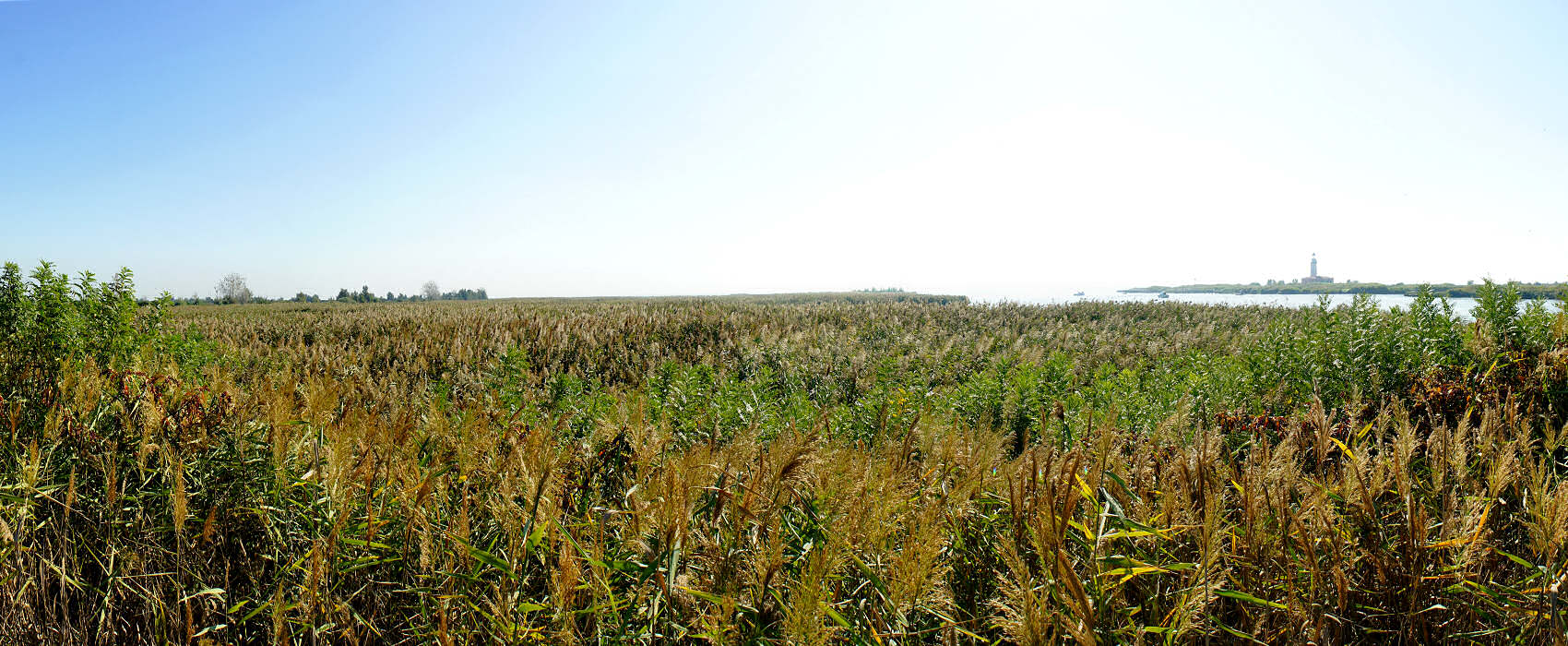 Bocca del Po di Goro