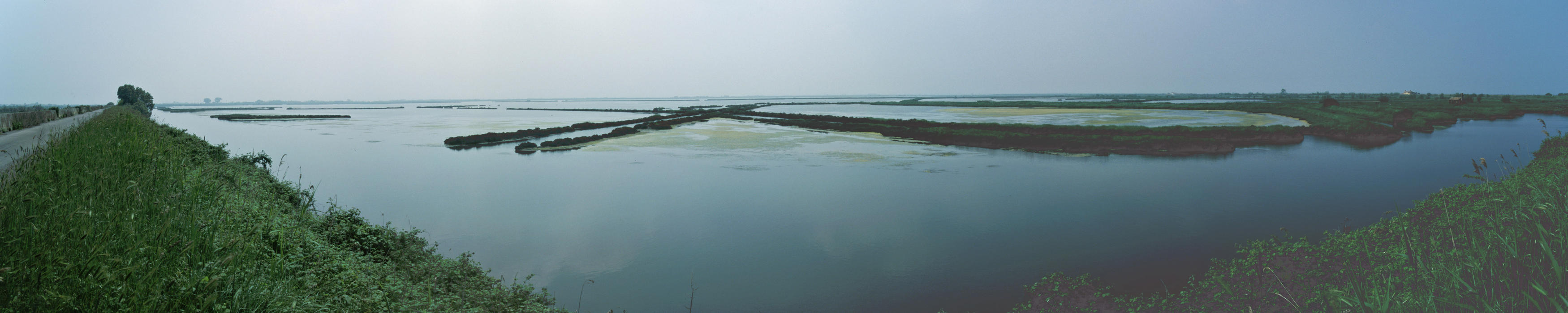 Delta - Rosolina (Rovigo)