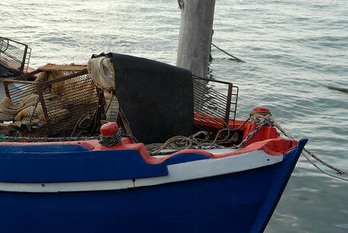 Laguna di Chioggia, Venezia