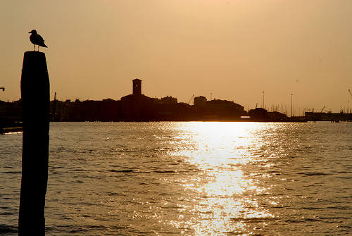 Chioggia