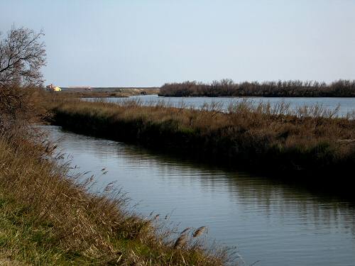 Boccasette - Porto Tolle