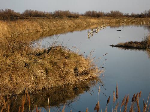 Boccasette - Porto Tolle