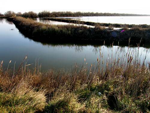 Boccasette - Porto Tolle