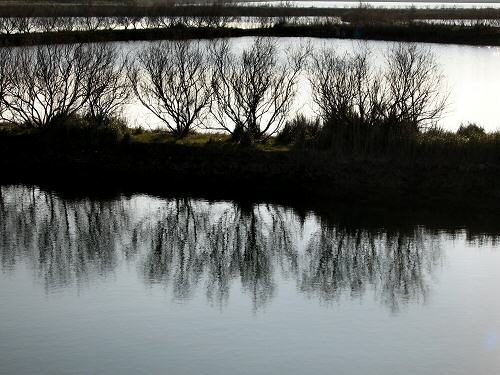 Boccasette - Porto Tolle