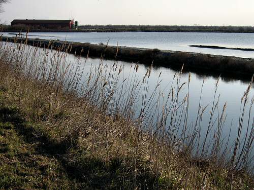 Boccasette - Porto Tolle
