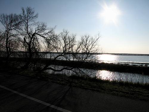 Boccasette - Porto Tolle