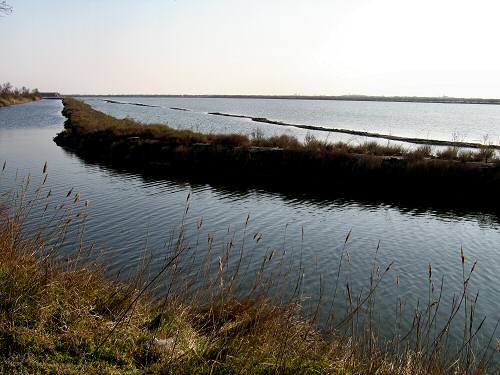 Boccasette - Porto Tolle