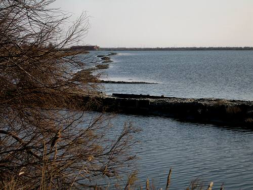 Boccasette - Porto Tolle