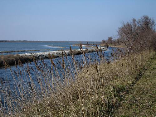 Boccasette - Porto Tolle