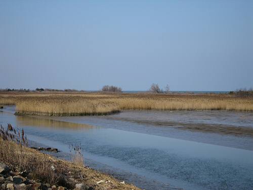 Boccasette - Porto Tolle