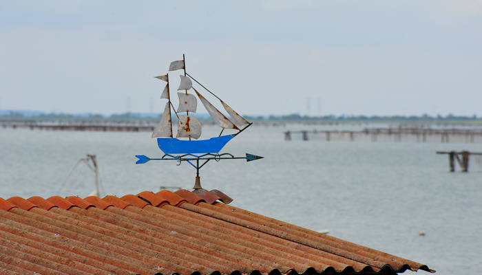 Sacca Scardovari a Porto Tolle