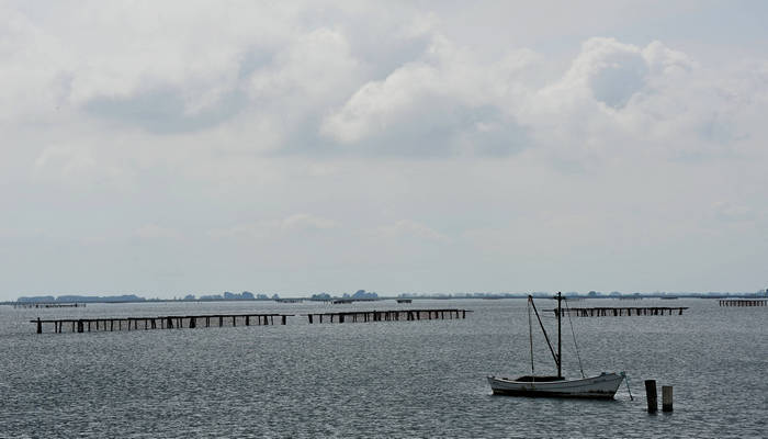 Sacca Scardovari a Porto Tolle