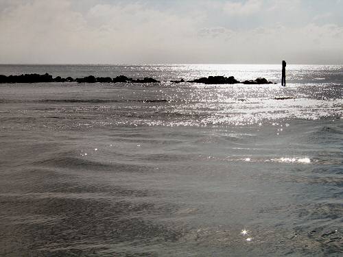 Sacca Scardovari - Porto Tolle