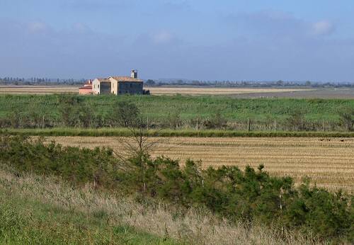 Sacca Scardovari - Porto Tolle