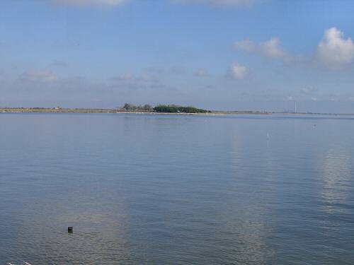 Sacca Scardovari - Porto Tolle