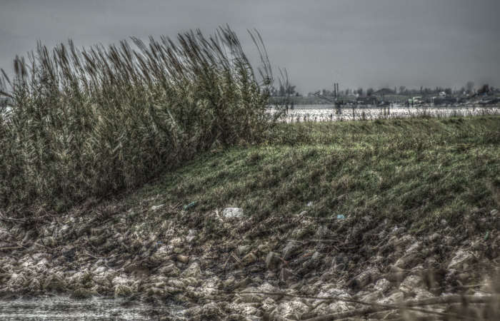 Isola della Donzella, Sacca Scardovari, Santa Giulia