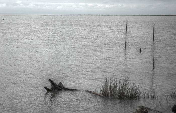 Isola della Donzella, Sacca Scardovari, Santa Giulia