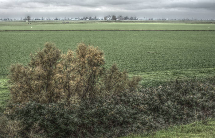 Isola della Donzella, Sacca Scardovari, Santa Giulia