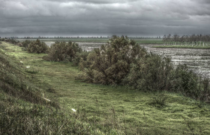 Isola della Donzella, Sacca Scardovari, Santa Giulia