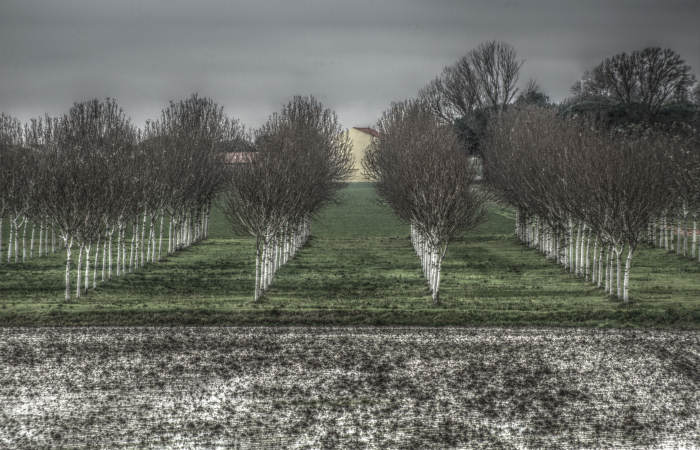 Isola della Donzella, Sacca Scardovari, Santa Giulia