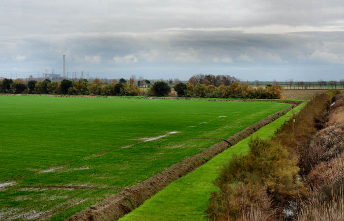 Isola della Donzella, Sacca Scardovari, Santa Giulia