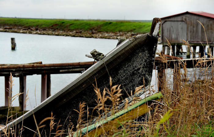Isola della Donzella, Sacca Scardovari, Santa Giulia