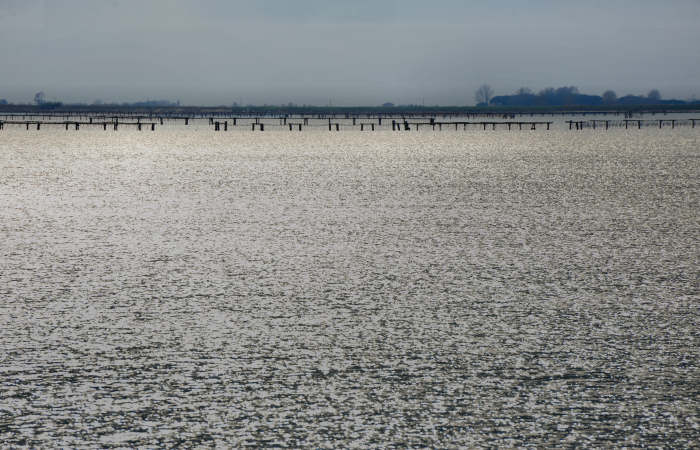 Isola della Donzella, Sacca Scardovari, Santa Giulia