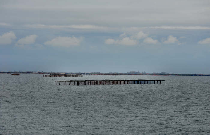 Isola della Donzella, Sacca Scardovari, Santa Giulia