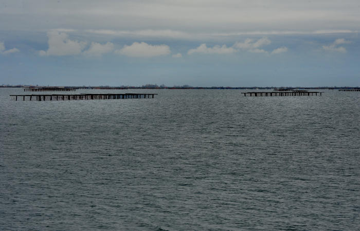 Isola della Donzella, Sacca Scardovari, Santa Giulia