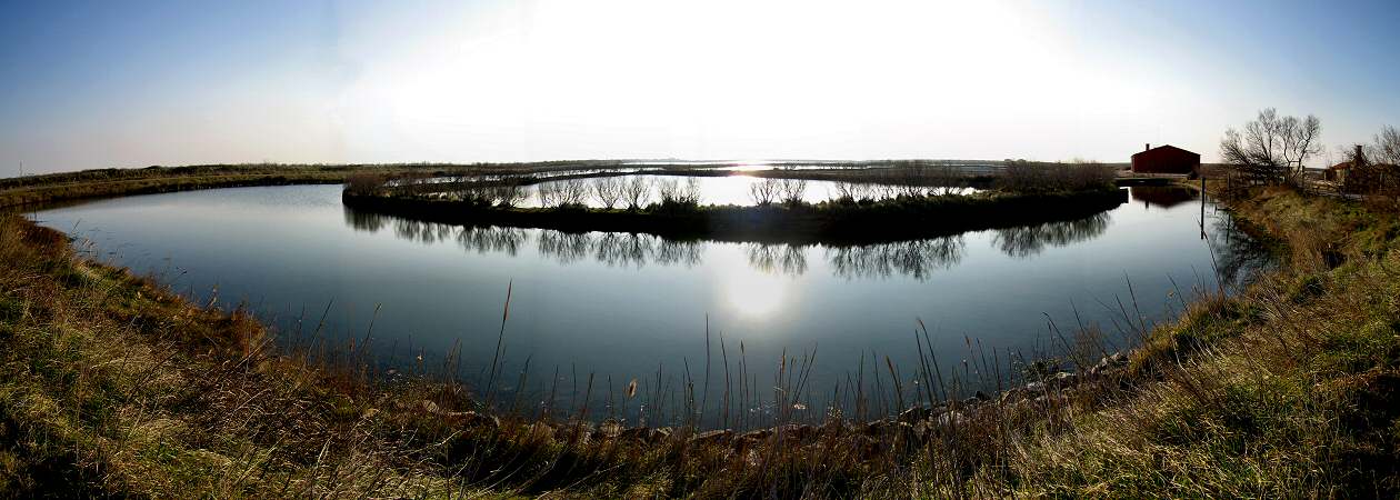 Delta - Porto Tolle (Rovigo)