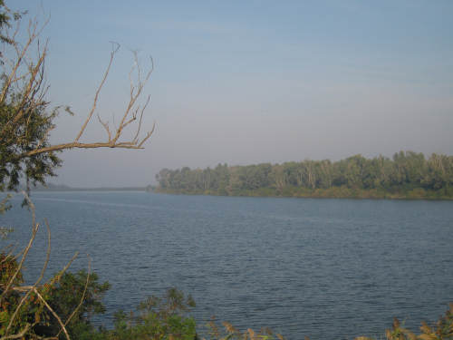 Isola di Polesine Camerini - Porto Tolle, Delta del Po