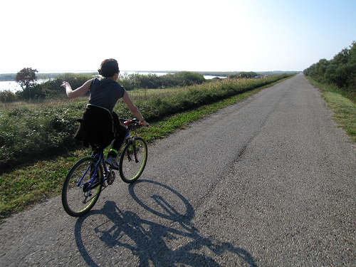 Isola di Polesine Camerini - Porto Tolle, Delta del Po