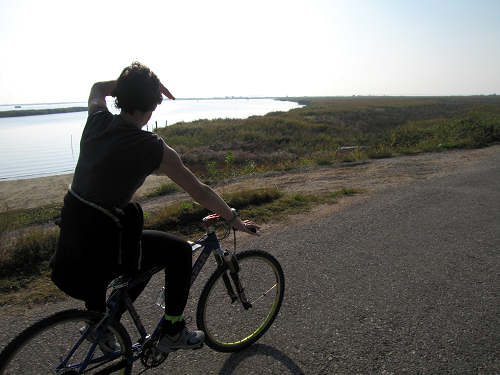 Isola di Polesine Camerini - Porto Tolle, Delta del Po