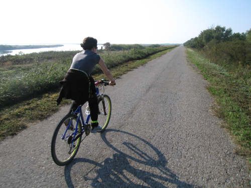 Isola di Polesine Camerini - Porto Tolle, Delta del Po