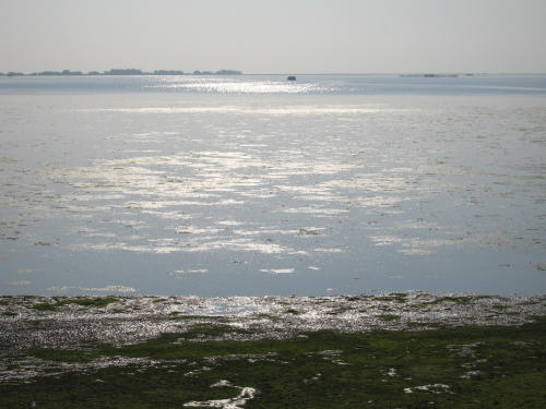 Isola di Polesine Camerini - Porto Tolle, Delta del Po
