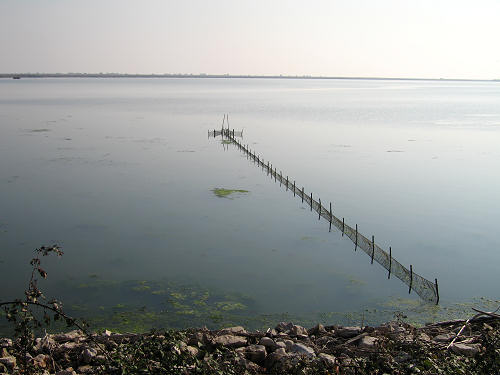 Isola di Polesine Camerini - Porto Tolle, Delta del Po